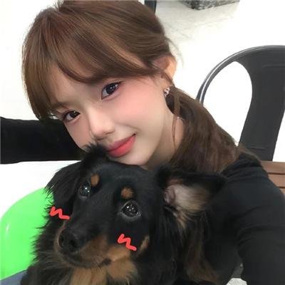 鲅鱼恋上猫